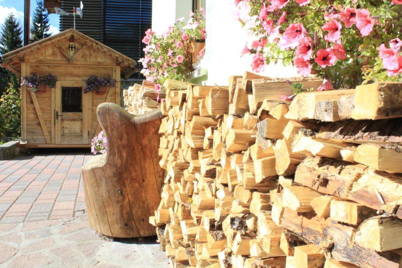 Garni Al Barance Hotel Selva di Cadore Ngoại thất bức ảnh