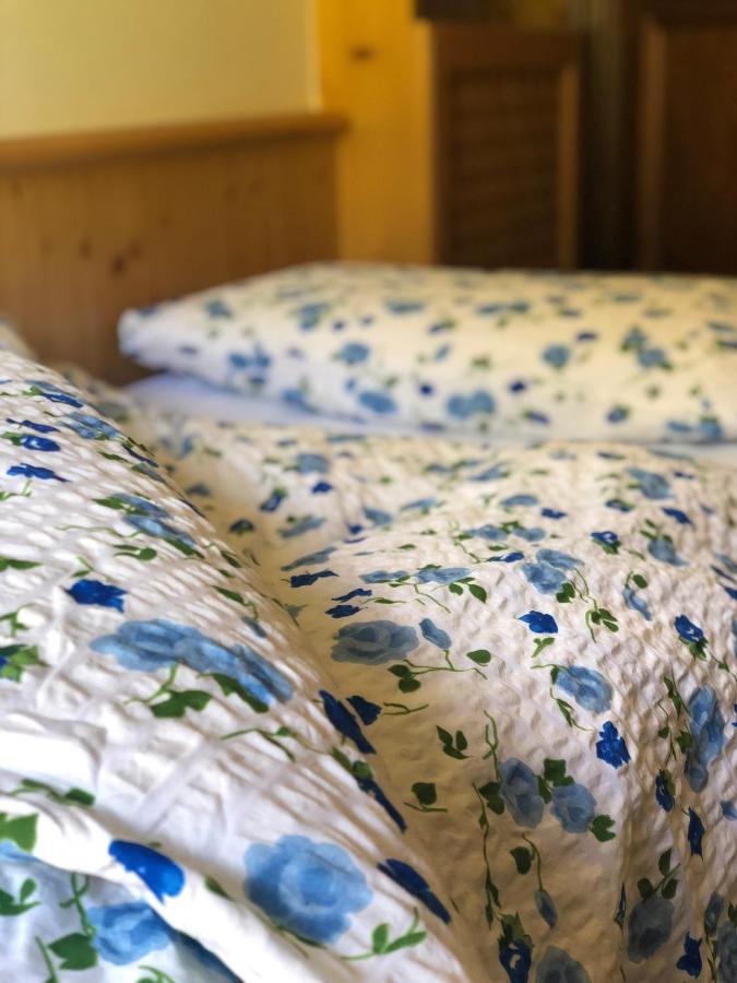 Garni Al Barance Hotel Selva di Cadore Ngoại thất bức ảnh